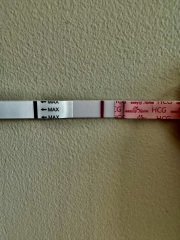 A line eye enthusiast #3