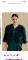 What colour coat and accessories do go with bottle green dress?