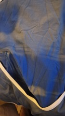 Les Parisiennes des Mamanset: On the Advent of Newness