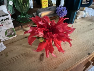 Sorry, a bit twee but little things that make you happy these days