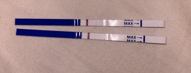 Help Evap line or faint positive