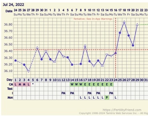Second cycle after CP- CD16: Failed to ovulate and spotting? Help! (sensitive images!)