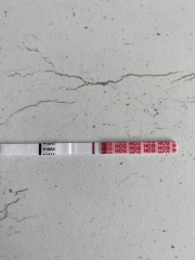 A line eye enthusiast #3