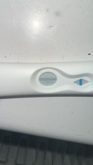 Clear Blue Positive or Evaporation?