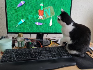 The One where TC moved to Scotland and joined the Excellent Cats