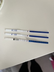 TTC July 2024 ✨♥️