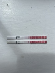 WONDFO indent lines