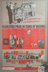 What's your take on immunization?