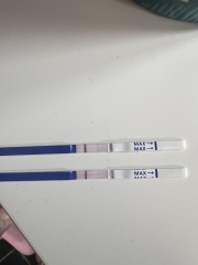 One step Pregnancy test
