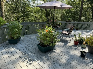 Come and tell me your dull and unexciting news 30: Calmly through the day