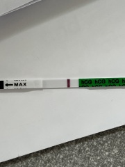 TTC July 2024 ✨♥️