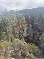 The Great Recovery part 2 - After Cancer treatment what next?