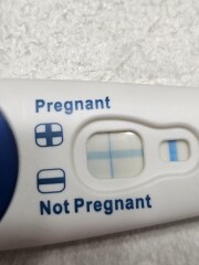 Evap line or positive?