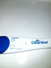 Pregnancy test