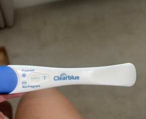 Clear blue test. Evap line or positive
