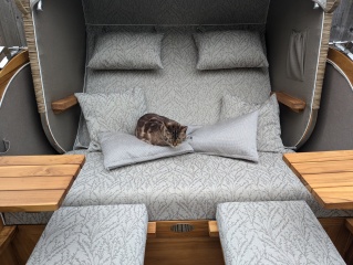 The One where TC moved to Scotland and joined the Excellent Cats