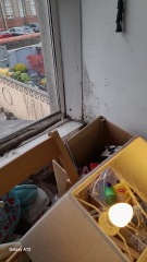 Old terrace house - what is this on the wall?