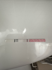 Easy at home reliability? Evap/faulty test?