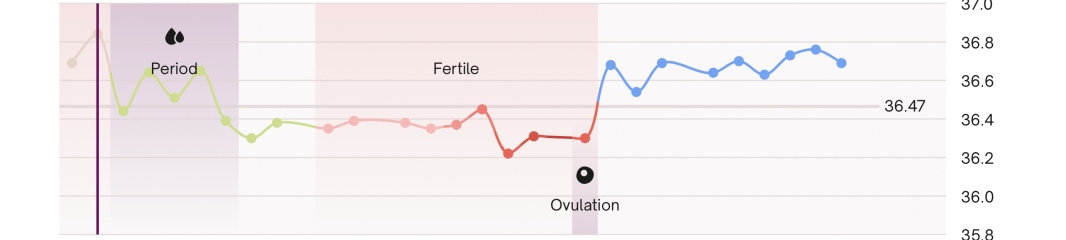 BBT & ovulation after miscarriage