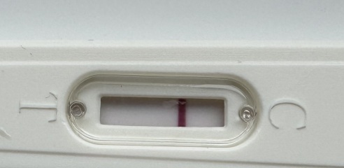 Day 33 no sign of period