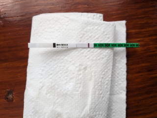 TTC July 2024 ✨♥️