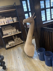Can MN find this giant wicker giraffe??