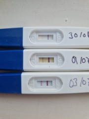 Line progression reassurance
