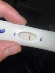 Clear Blue Evap line