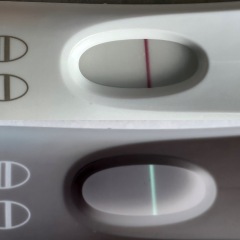 Vvvfl on three types of tests, negative digital