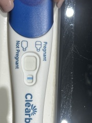 Pregnancy test