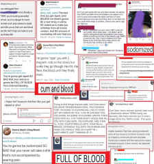 To ask if anyone else on MN is not anti-trans?