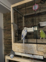 Fat Girl Summer 2 Electric Boogaloo💅☀️