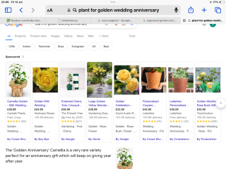 Golden wedding anniversary gift ideas