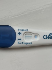 Am I pregnant ?