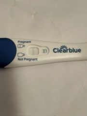 Do you see what I see?