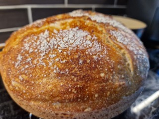 Behold my Sourdough