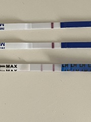 TTC July 2024 ✨♥️