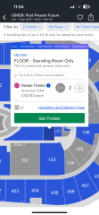 I stood at a concert