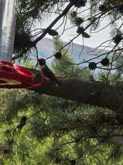 July Flylady Thread: Would July-k to join us?