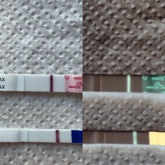 Vvvfl on three types of tests, negative digital