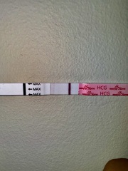 A line eye enthusiast #3