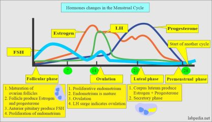 TTC after chemical pregnancy