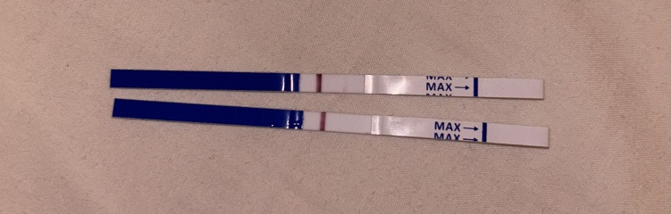 Help Evap line or faint positive