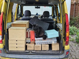 Passports, buckets and spades - the Excellent Cats go on their holidays