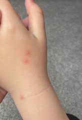 Chicken pic again?!!