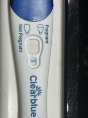 Pregnancy test