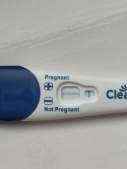 Am I pregnant ?