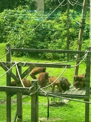 Come and tell me your dull and unexciting news 30: Calmly through the day