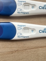 Clear blue test. Evap line or positive