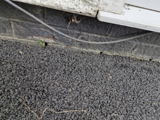 Damp Proof Course?
